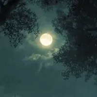 Minh Dạ