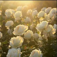 tất cả mọi người