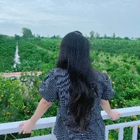 Tác giả đâyy