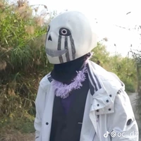 error sans 505