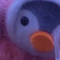 T/giả cuteo