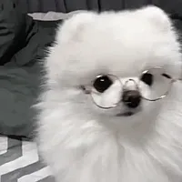 bomaymet