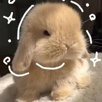 All [cả nam lẫn nữ]