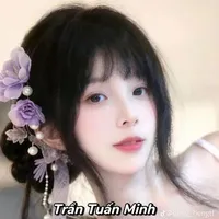 Trần tuấn minh
