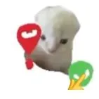 hệ thống lesbien