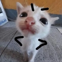 🌌🌫️cả đám 🌠 🌨️