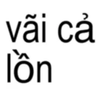 Đám Miniforce