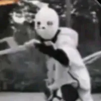 crros sans