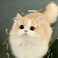 Mai:dạng mèo(mi mi)