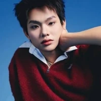 Bùi Trường Linh•||•Buitruonglinh•||