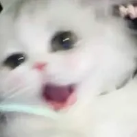 mun