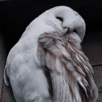Fewly