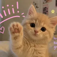 Tg lười nhất năm :)))