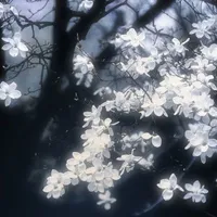 ☆𝙷𝚃_𝚂𝚑014✧