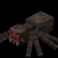 spider🕷🕸