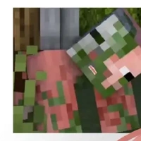 pigman🐷🐽