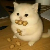 Chuột 👉👌