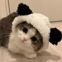 T/g xàm L
