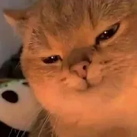 tác giả bí ẩn???