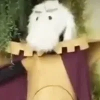 ông dê