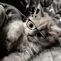 T/g cute bị gêy