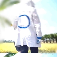 Error 404 Sans