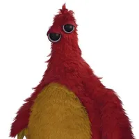 chum chompkins