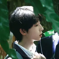 Dương Bác Văn _ Anh