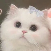LyLy(tác giả)/hệ thống chủ