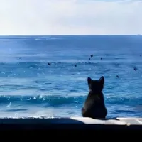 Shoko_Rei_Suguru_Satoru 