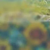 All người ở đó