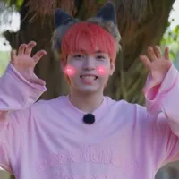 meo meo