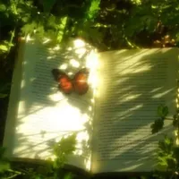 Tác giả - Cá mặn