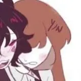 Y/n(Mèo)