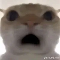 Đồ vật bt nói chuyện