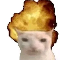 Chủ quán
