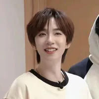 Hạ Tuấn Lâm (Chửi tôi xin mời vào tù)