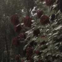 All