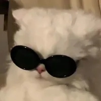 tác giả ngáo VĂN