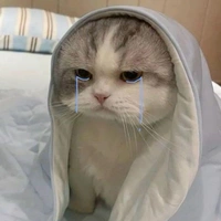 𝐓𝐚́𝐜 𝐠𝐢𝐚̉ 🤧