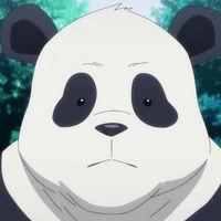 Panda (P)