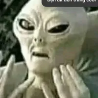 Minh A que củi