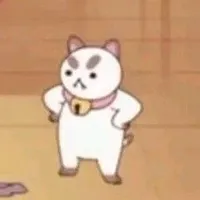 Chúng ta có gì đây? Là một neko-chan