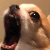 Đa nhân vật(nam)