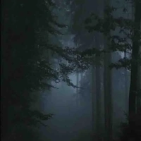 Ngày Sảng chục cữ [tác giả]