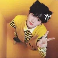 Mèo Na uy Đinh Trình Hâm