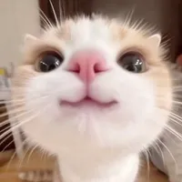 Nại là Diệu đây!!!