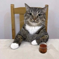 𝘭𝘰̂𝘯𝘨 𝘵𝘰́𝘤 𝘤𝘶̉𝘢 𝘮𝘢𝘳𝘵𝘪𝘯.