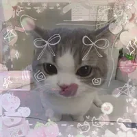 t/g thấy bl là húp