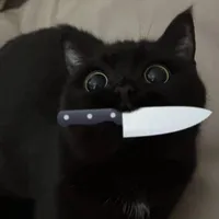 Táo